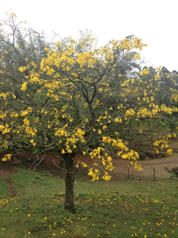 ריו דוס סדרוס Casa De Campo,Sitio,Vale Europeu-Sc מראה חיצוני תמונה